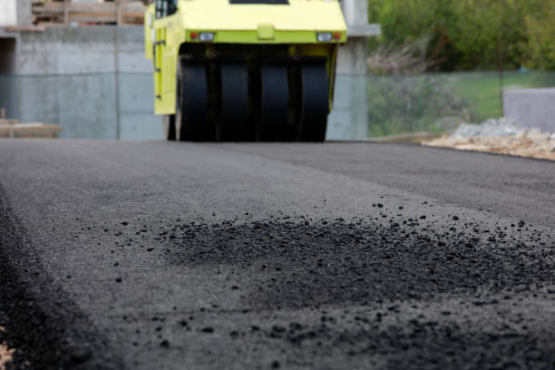 Best Professional Driveway Pavers  in Carver, MN