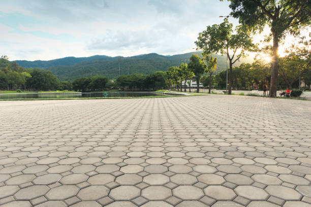 Best Driveway Paver Sealing  in Carver, MN